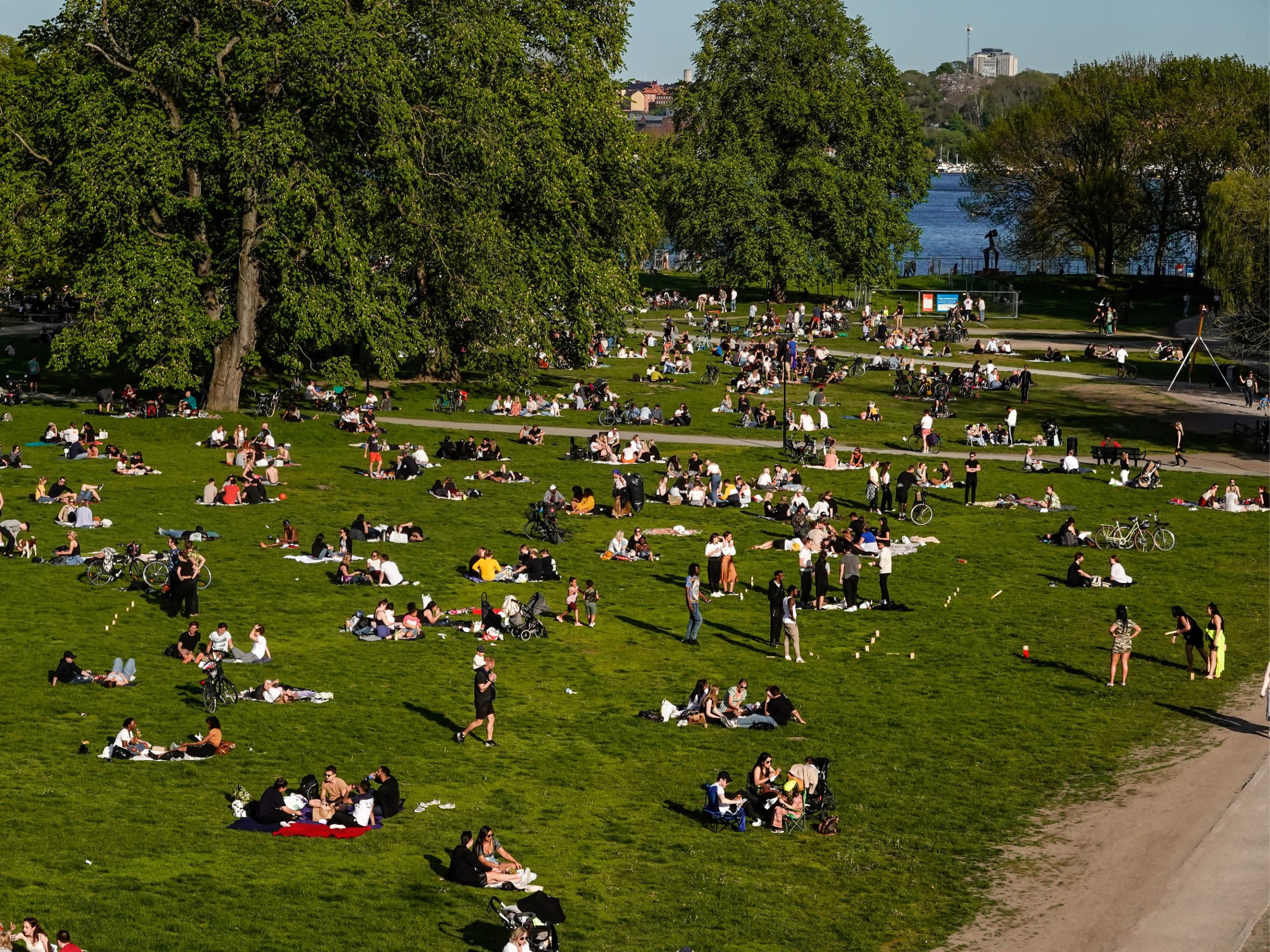 Bild över en av Stockholms grönskande parker vid vattnet under sommartid med fullt av olika människor som sitter på filtar, umgås, spelar spel, promenerar och cyklar.